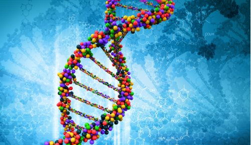 the Turnaround Time for a DNA Test