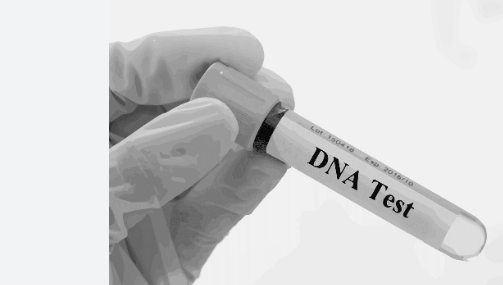 DNA Test Costs